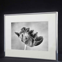 Nielsen Accent Alu Wechselrahmen